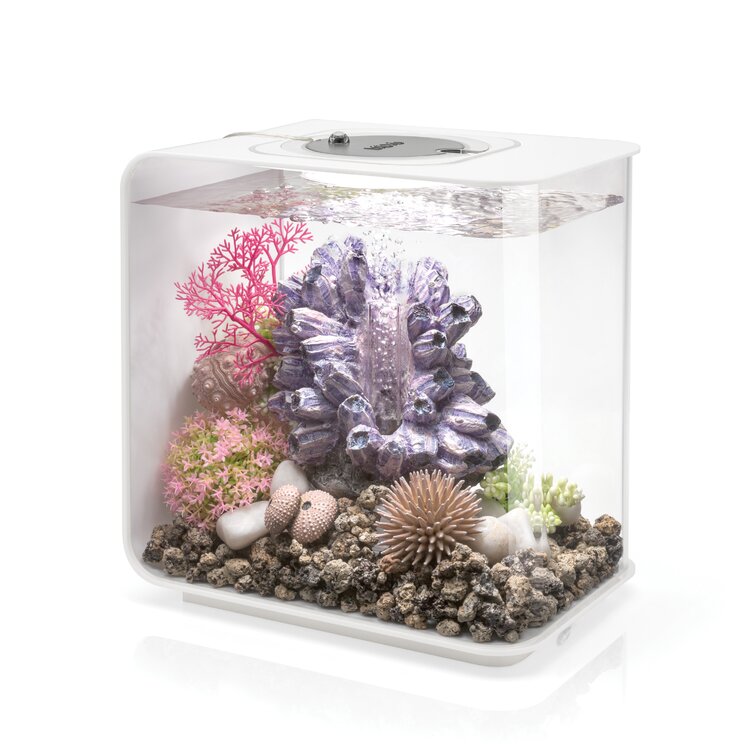 FLOW 15 Aquarium with MCR Light - 4 Gallon